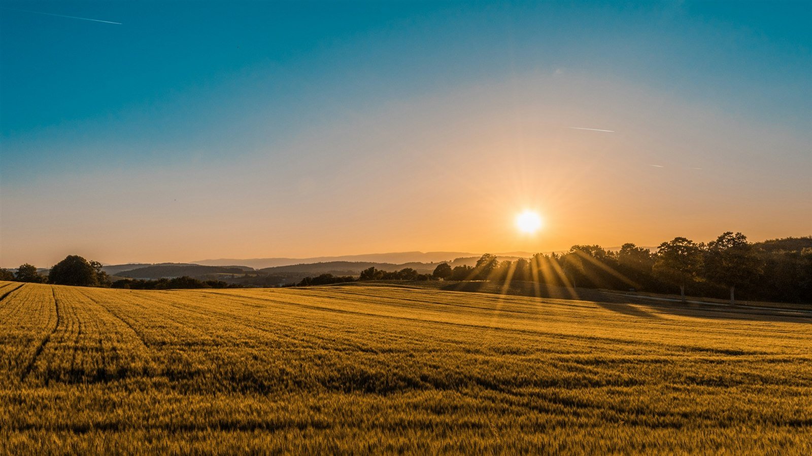Agribusiness farming field